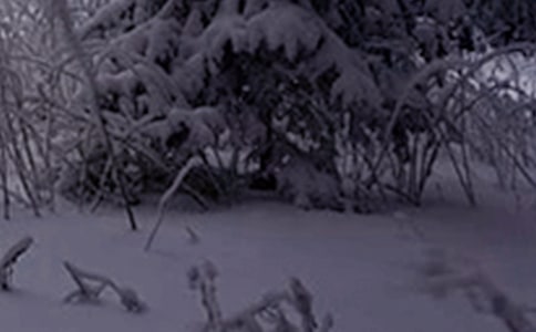 Сѩ,�ټ�!����