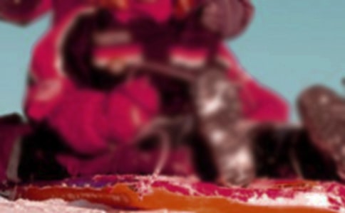 ��ʿ��ѩ��Ȯ�粨_���м�����