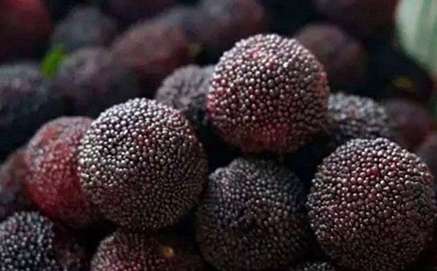 描写杨梅的古诗精选13首