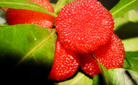 ������÷500��˵���ģ���ѡ8ƪ��