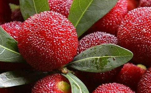 ���Ƽ���ժ��÷����