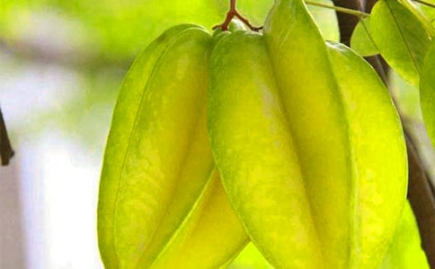 �����ҵĽ�ѧ���