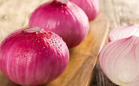 《洋葱头历险记》的读后感范文450字(精选7篇)