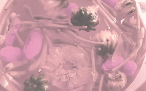 千峰老人十六步养生功法歌诀全文