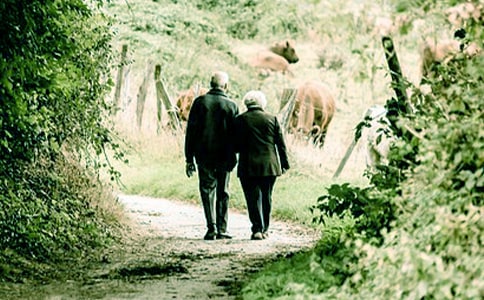 ���ٺ�үү�ۺ��(11ƪ)