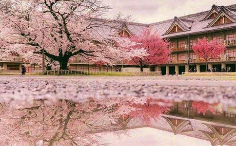 ӣ����ɢ��