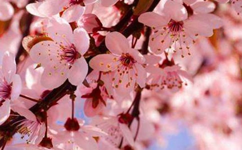 ���꼶ӣ���۲��ջ��ռ�