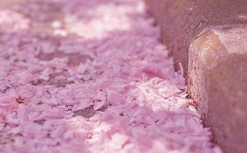 ӣ�����Ĺ۲��ռ�