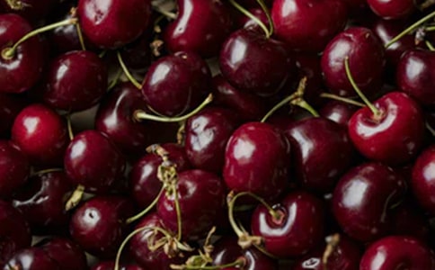 ���꼶ӣ�����Ļ���5ƪ