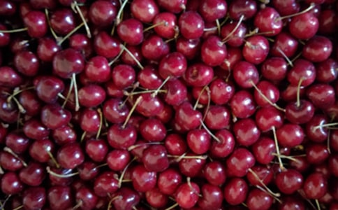 (合集)摘樱桃作文15篇