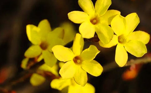 ����ӽӭ������ʫ�ʾ�ѡ