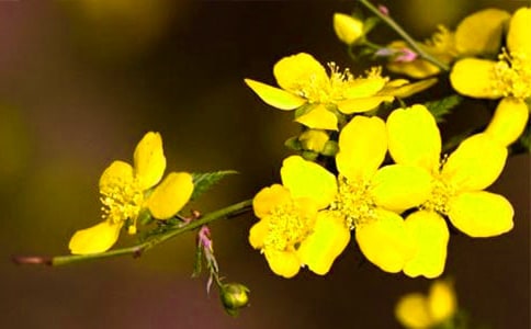 ӭ�������꼶״������