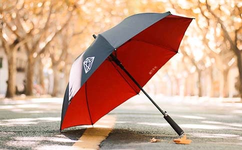 台灯明月雨伞作文素材