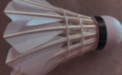 ��ë���������