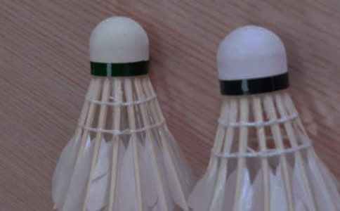 羽毛球比赛活动策划方案