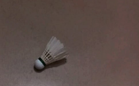 һ�����ʵ���ë����