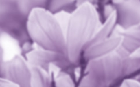 �й����������꼶���ļ�����ƪ