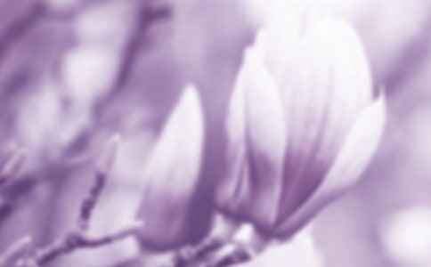 ���������꼶���ļ�����ƪ