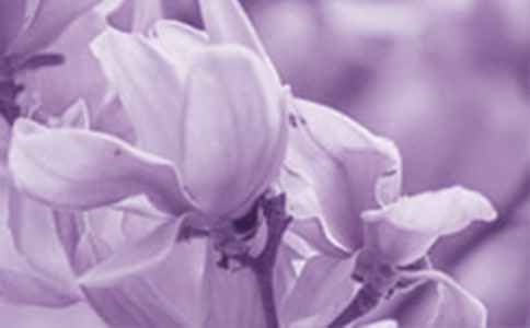 ������ɢ��