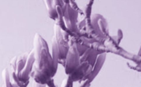 ��ѡ���������꼶���Ļ��7ƪ