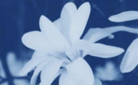 ��ѡ���������꼶���Ļ��5ƪ