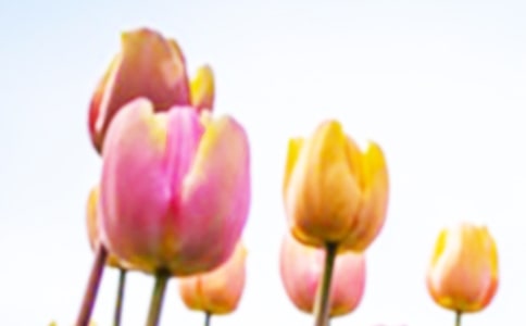 ��ϲ��������