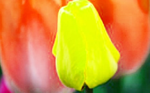 ����������������