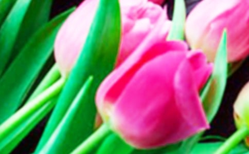 ����������(��ѡ15ƪ)