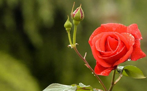 ����ǰ�¼���ʫ�ʼ��ͼ�����