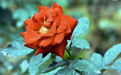 �����¼����ľ���19��