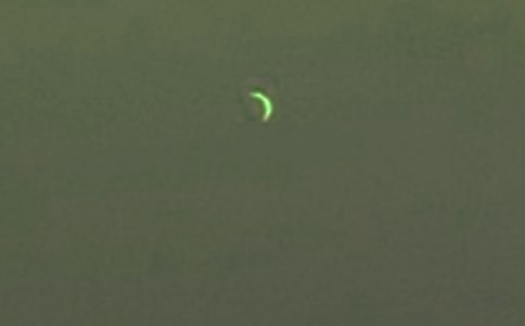 ��д���������ĺôʼѾ�