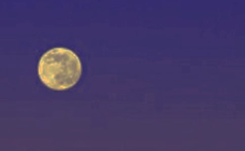 十五月圆倍思亲