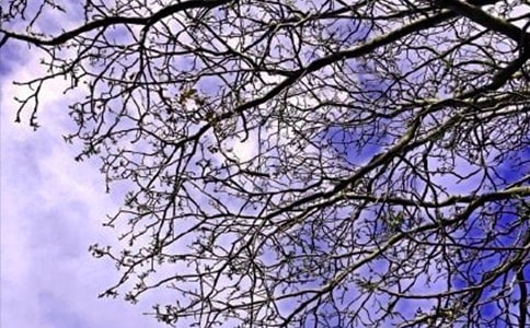 ��ѡ�簲������¼18��