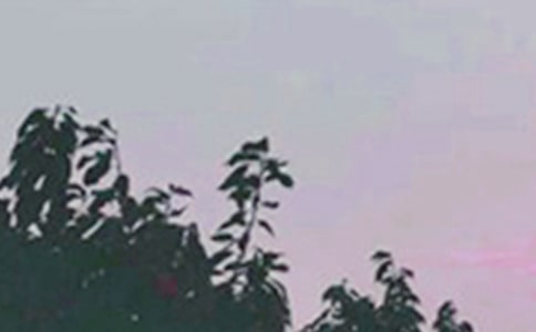 早安心语语录合集52句