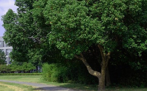 2022��򵥵��ʺϸ����ѵ��簲�ʺ�����¼