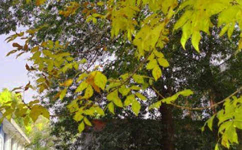 �����š�2023���°��簲�ʺ�����¼39��