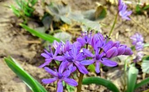 ͨ������ϵ�簲������¼370��