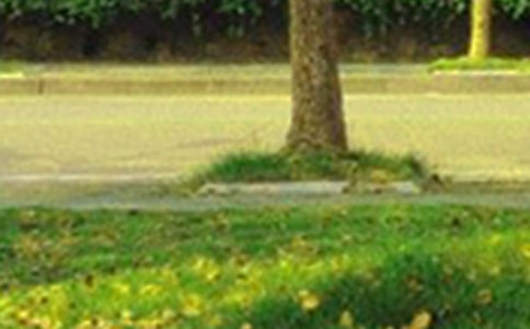 阳光早安句子(通用760句)