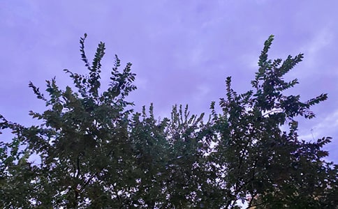 ����Ψ���簲�̾�40��