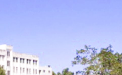 2021年实用的朋友早安问候语语录27条