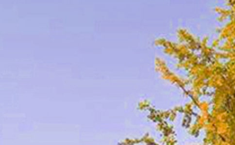 简洁的新版早安问候语语录摘录63句