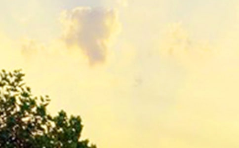 ���������ů���簲������¼25��