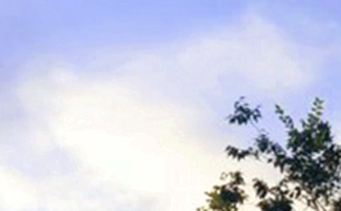 �򵥵��簲���������¼49��