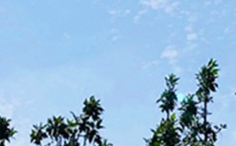 ÿ���簲��¼