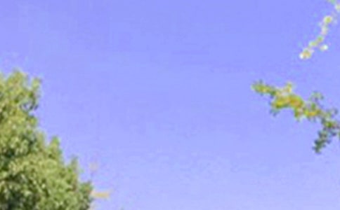 2020�꾫ѡ��ů���簲������¼22��