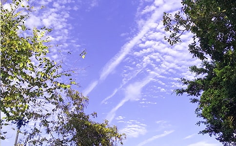 2021年每日一签早安心语语录大合集52句