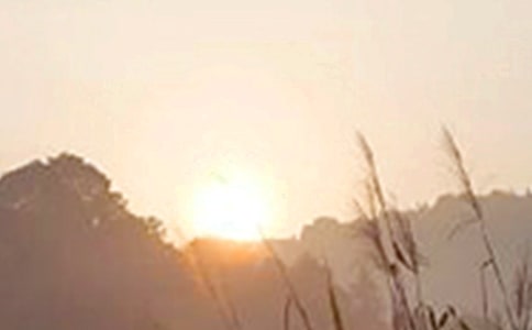 正能量微信早安心语