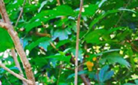 ����ů���簲�̾��ȫ����ѡ50�䣩