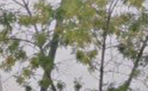 �����簲���������¼�ϼ�69��