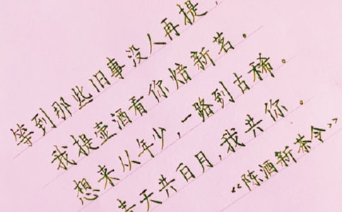 2017����̥������